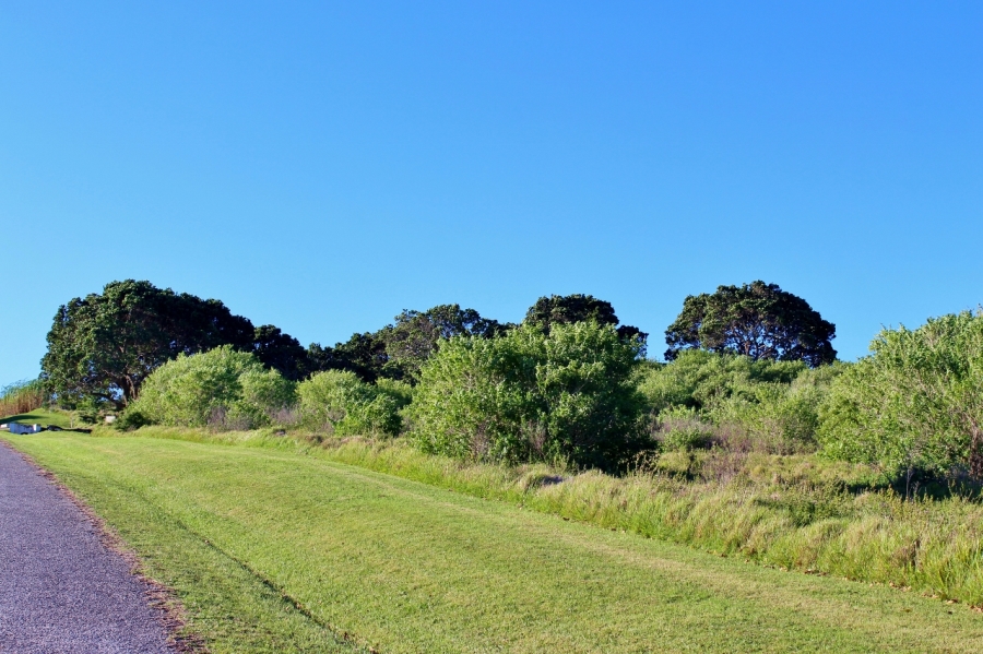 0 Bedroom Property for Sale in Forest Downs Eastern Cape